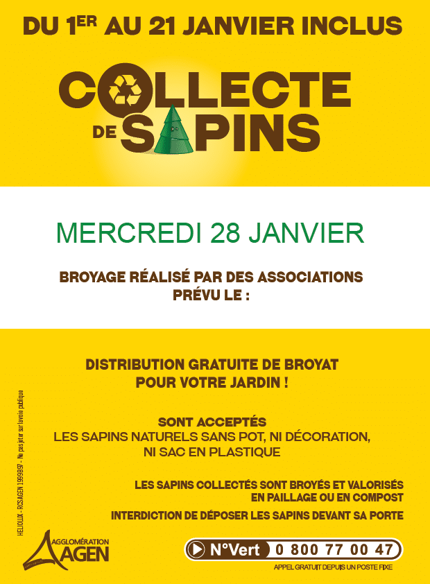 BROYAGE SAPIN